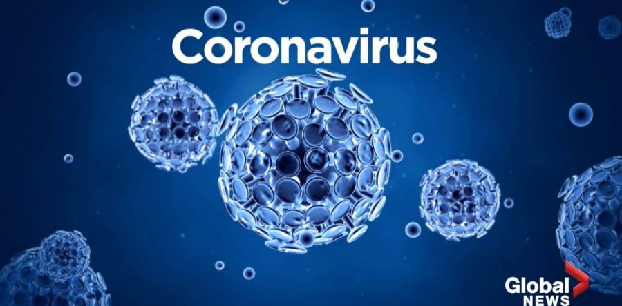CORONAVÍRUS: Neste momento, a tranquilidade e a informação sao fundamentais para superar essa fase